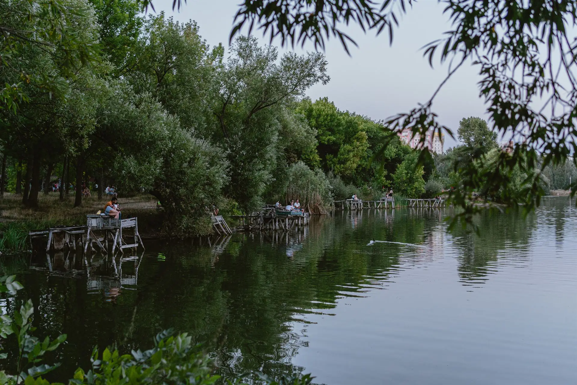 Ozero CHekha Foto vidvidayte Sumy