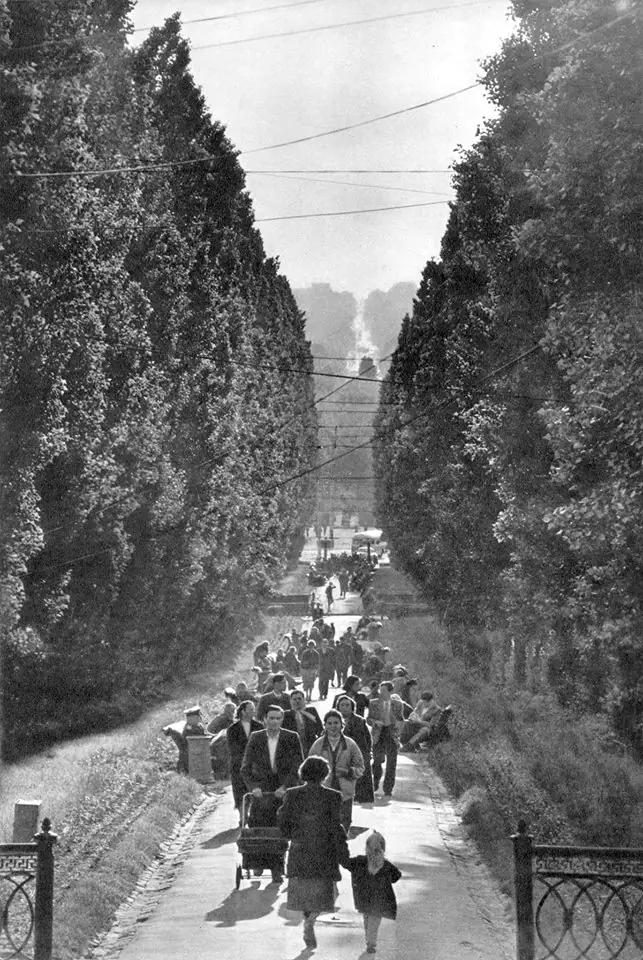 Bulvar SHevchenka foto Mykola Kozlovskyy